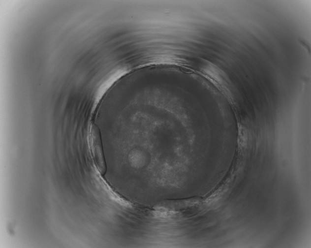 X0000102240804200808011247