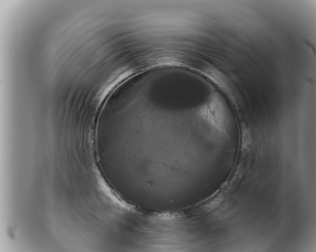 X0000102240806200808011247