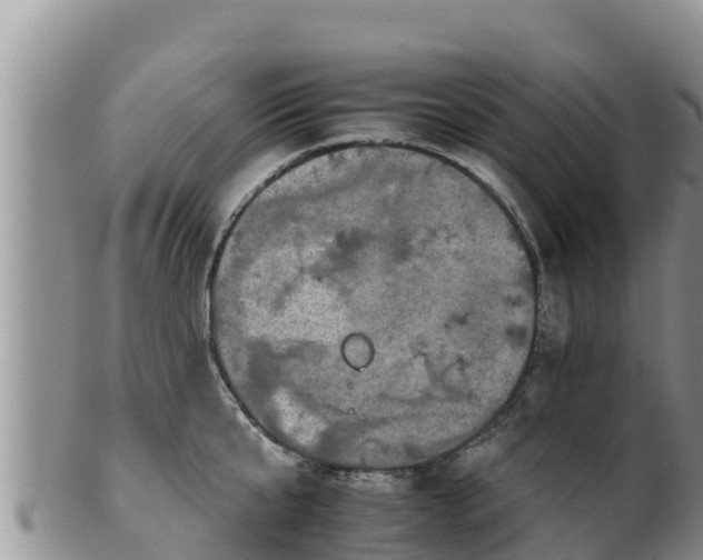 X0000102240807200808011247