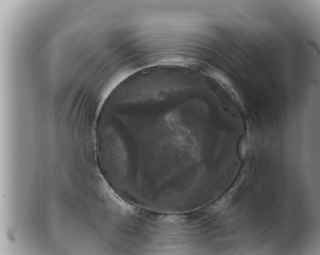 X0000102240808200808011247