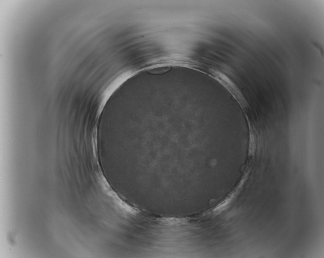 X0000102240812200808011246