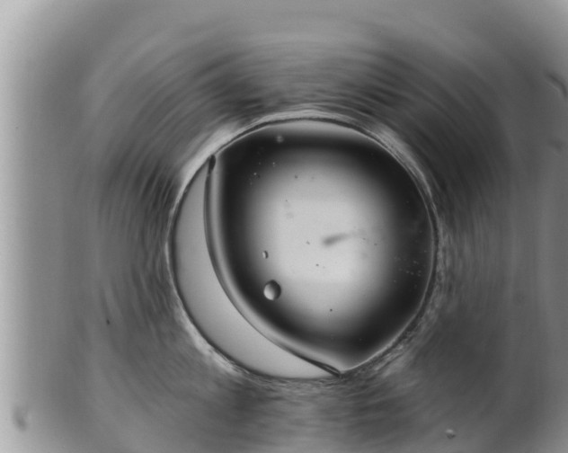 X0000102240813200808011246