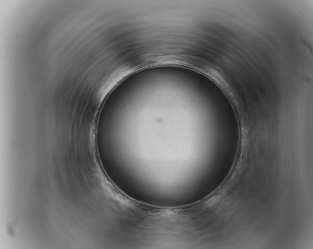 X0000102240814200808011246