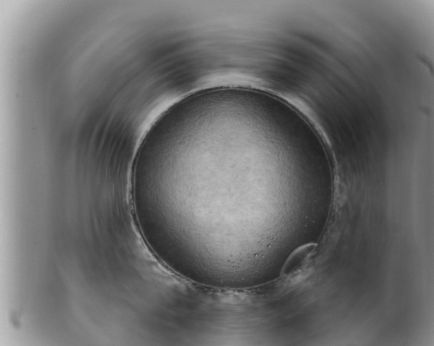 X0000102240815200808011246