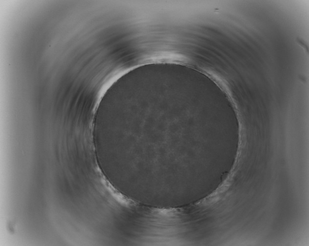 X0000102240816200808011246