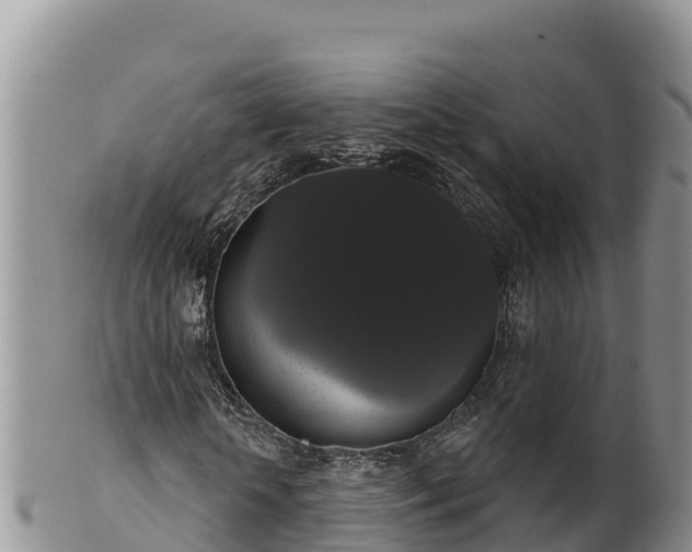 X0000102240818200808011246