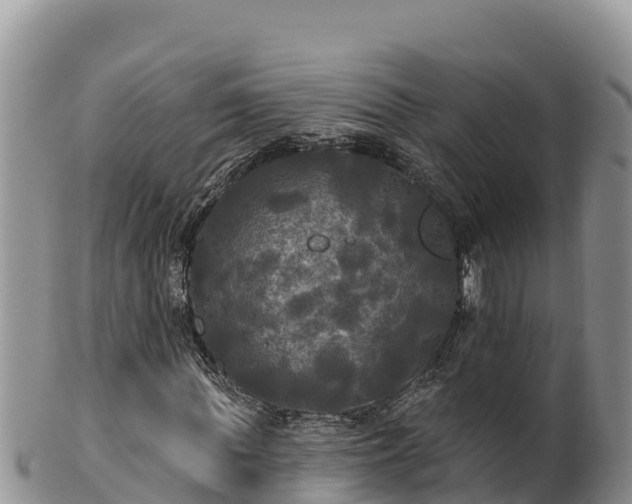 X0000102240819200808011246