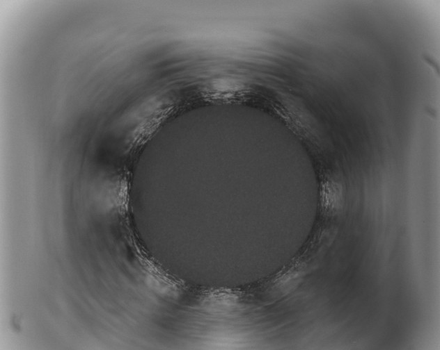 X0000102240820200808011246