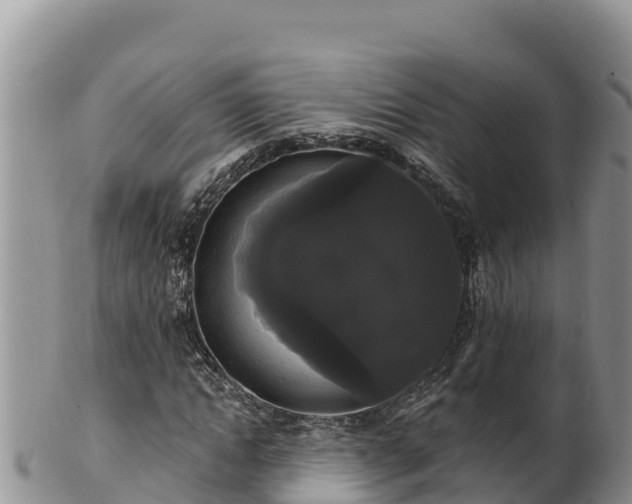 X0000102240822200808011246