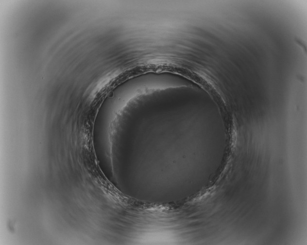 X0000102240823200808011246