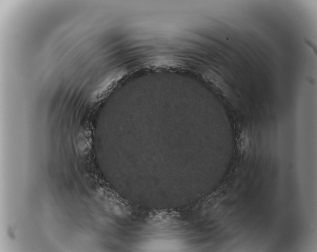 X0000102240824200808011246