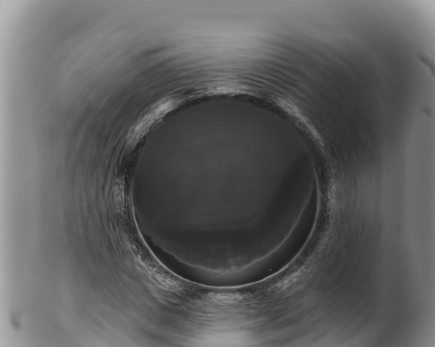 X0000102240825200808011246