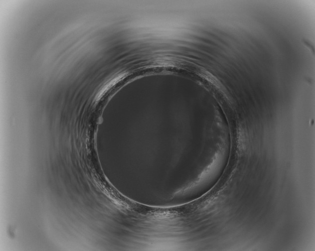 X0000102240826200808011246