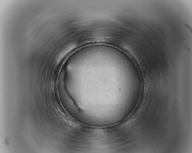 X0000102240827200808011246