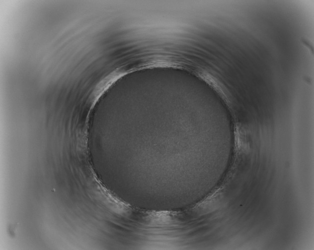 X0000102240828200808011246