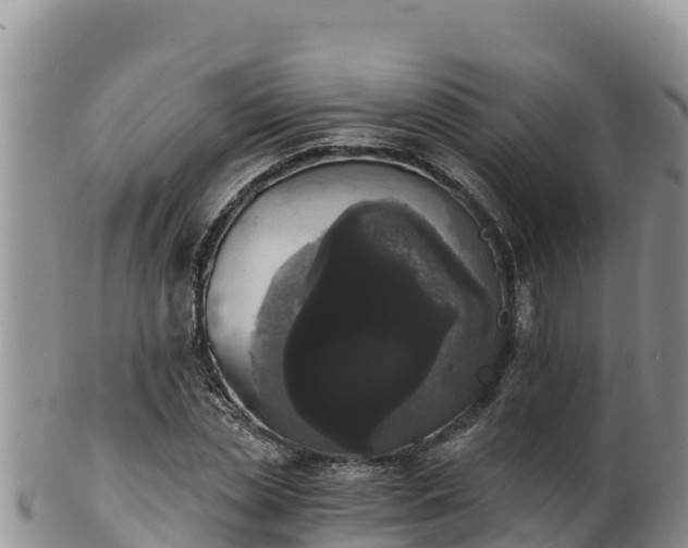 X0000102240829200808011246