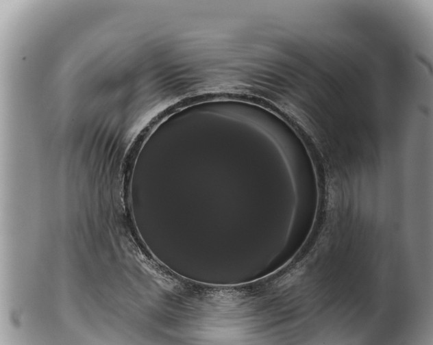 X0000102240830200808011246