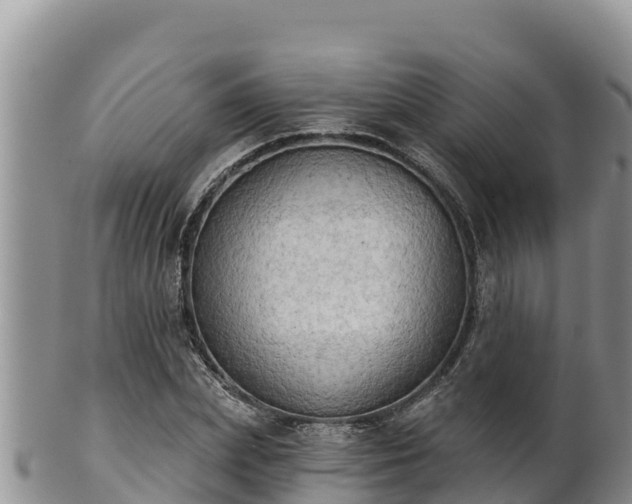 X0000102240831200808011246