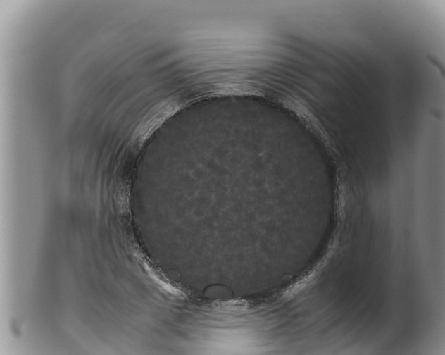 X0000102240833200808011246