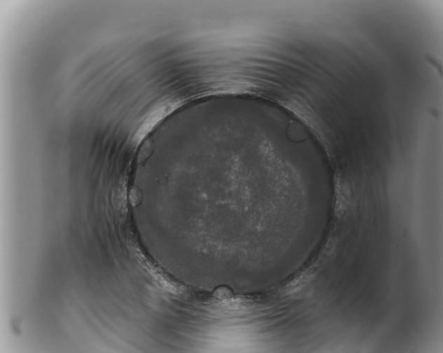 X0000102240834200808011246