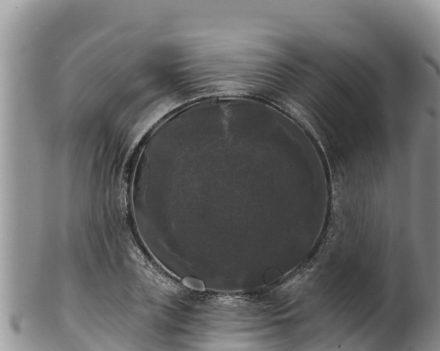 X0000102240835200808011246