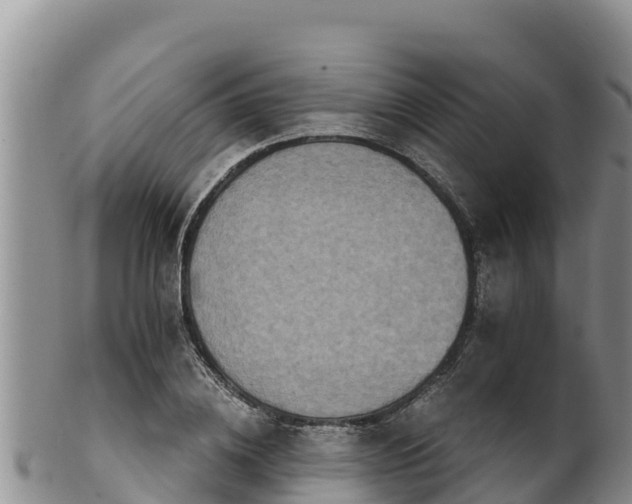 X0000102240836200808011246