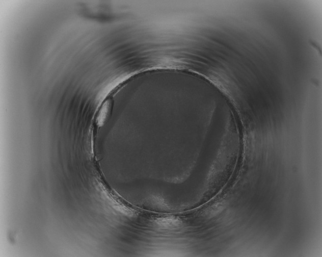 X0000102240838200808011246