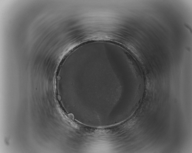 X0000102240840200808011246