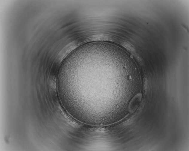 X0000102240841200808011246