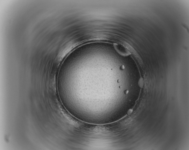 X0000102240842200808011246