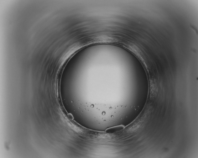 X0000102240843200808011246