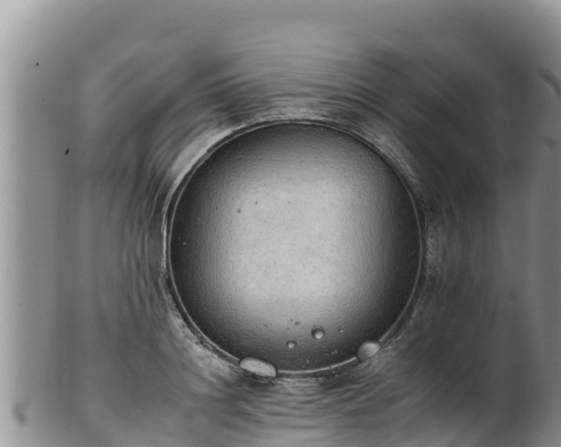 X0000102240844200808011246