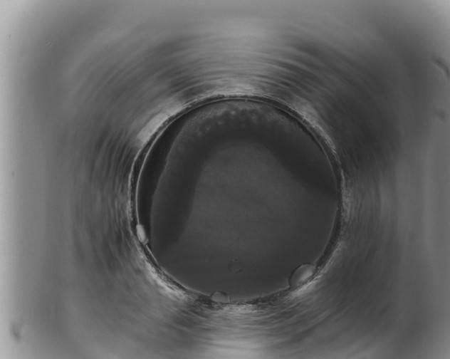 X0000102240845200808011246