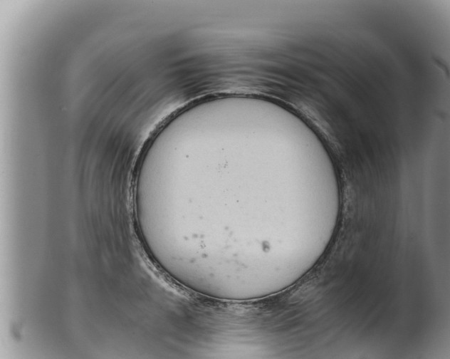 X0000102240848200808011246