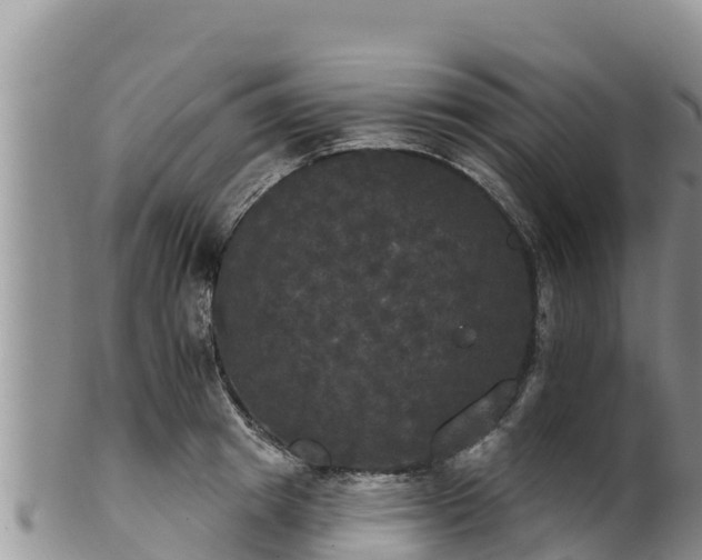 X0000102240849200808011246