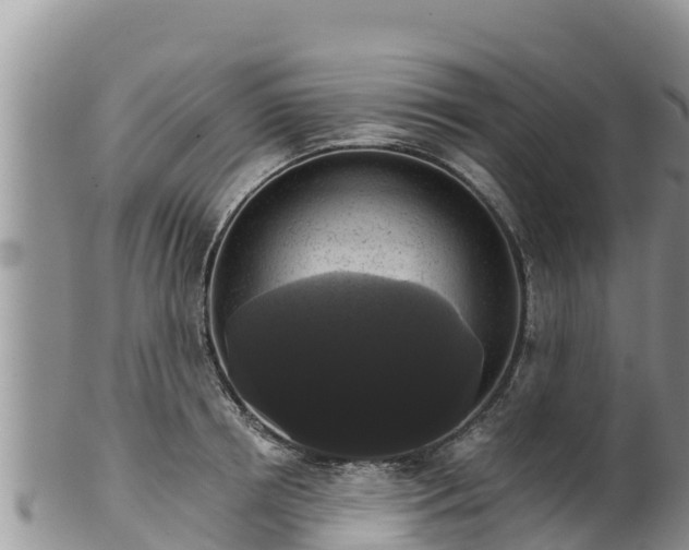 X0000102240850200808011246