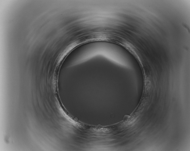 X0000102240851200808011246