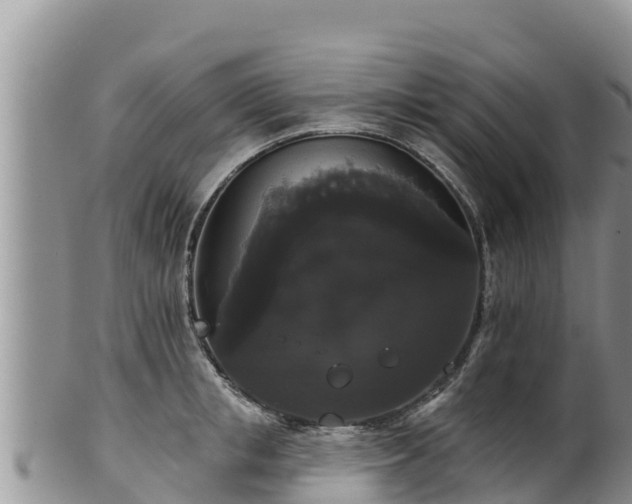 X0000102240853200808011246