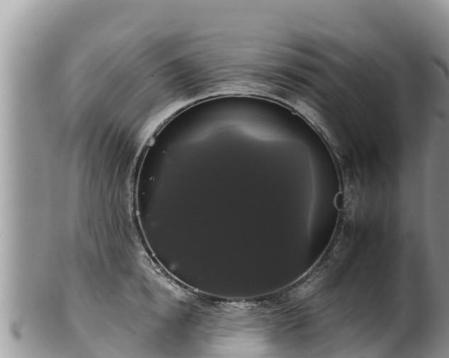 X0000102240854200808011246