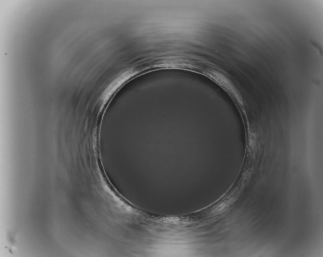 X0000102240855200808011246