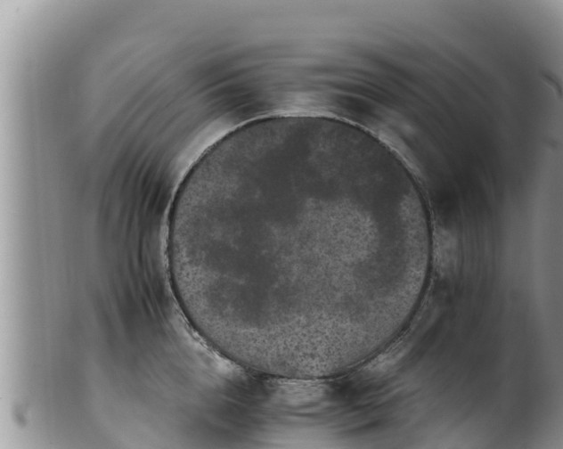 X0000102240856200808011246