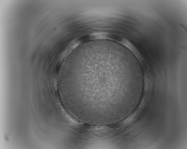 X0000102240857200808011246