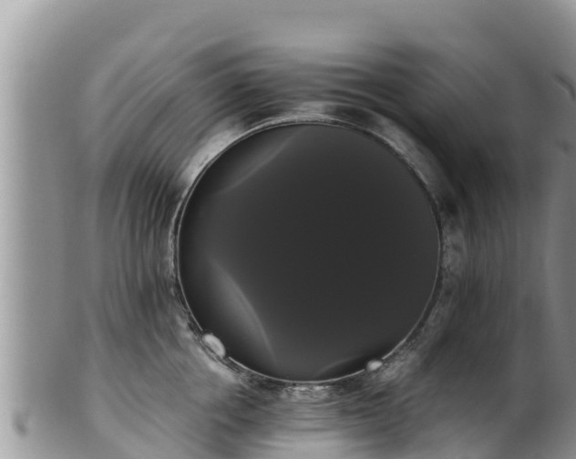 X0000102240858200808011246