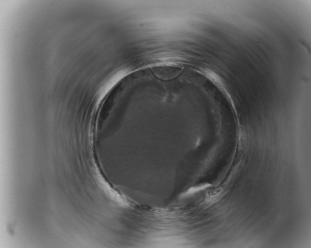 X0000102240859200808011246