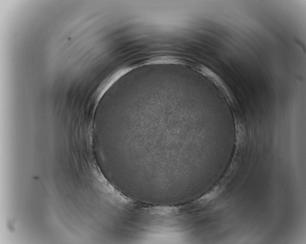 X0000102240860200808011246