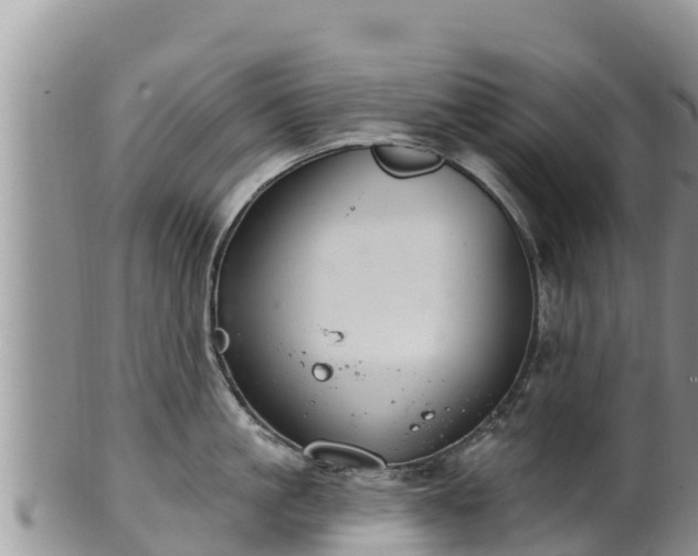 X0000102240861200808011246