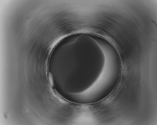 X0000102240862200808011246