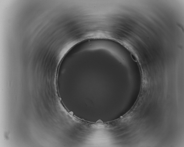 X0000102240863200808011246