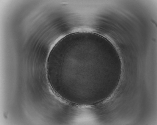 X0000102240864200808011246