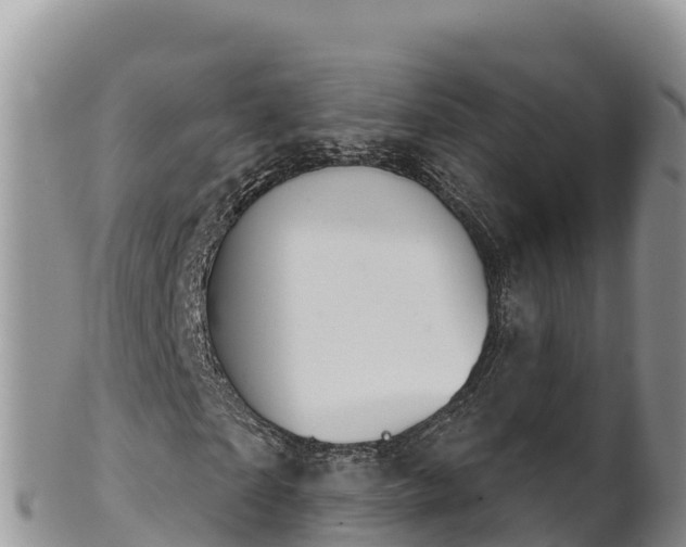 X0000102240865200808011246